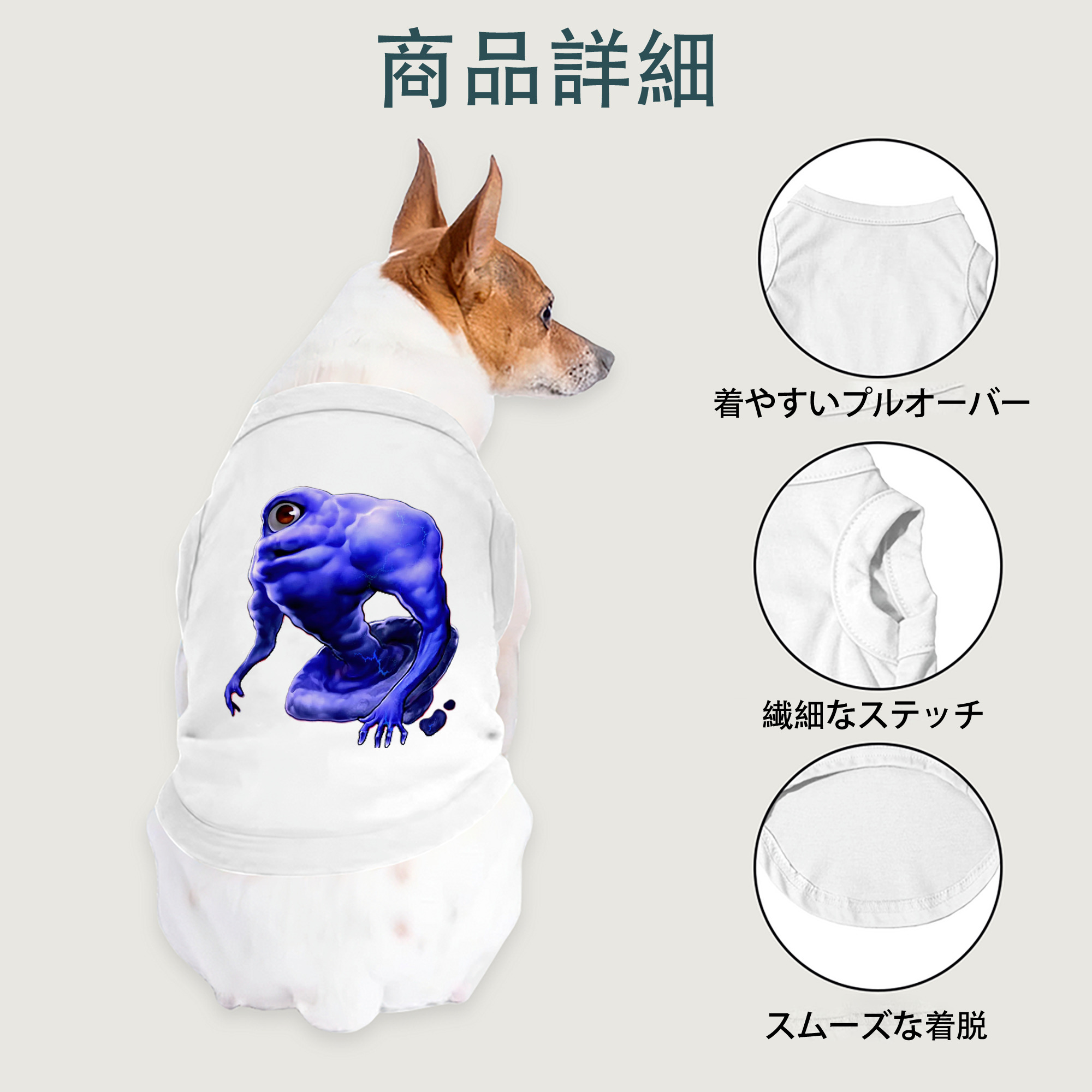 一般的なイメージ