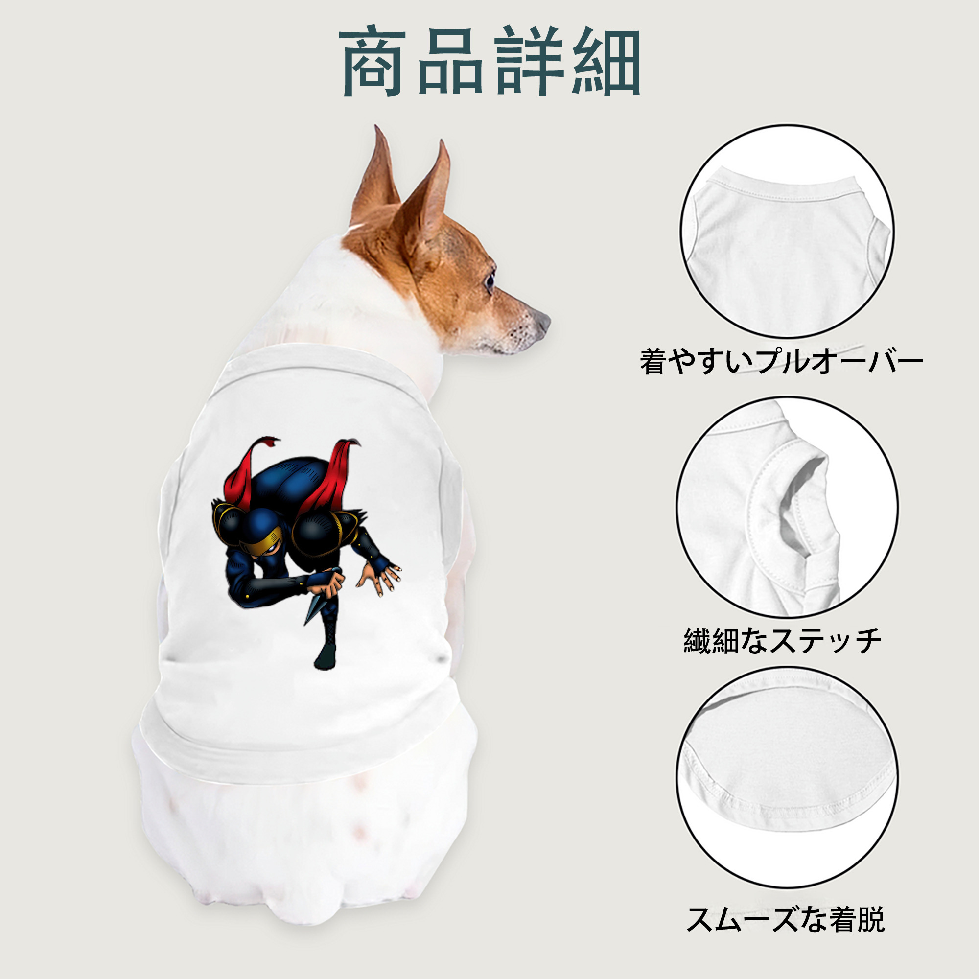 一般的なイメージ
