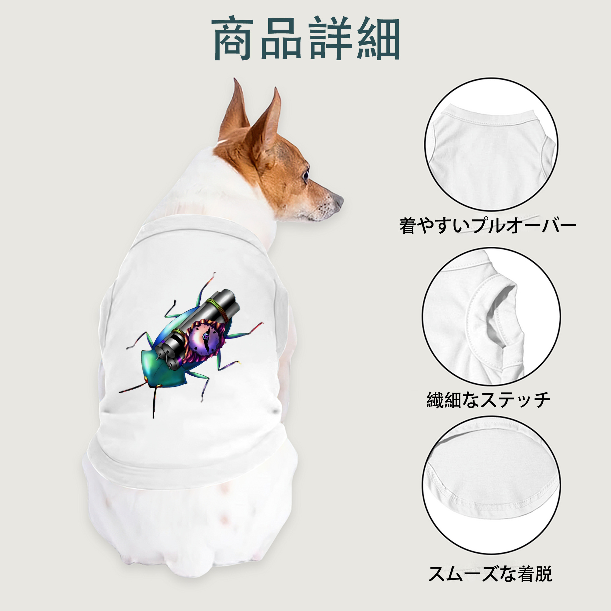 一般的なイメージ